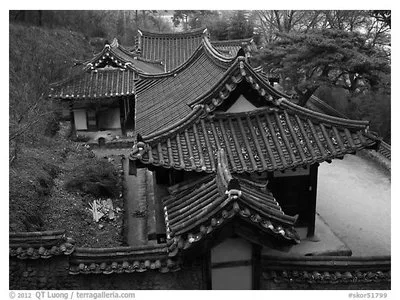 Pretty Roofs